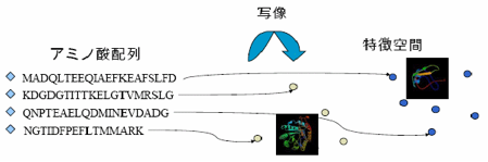 http://www.i.kyushu-u.ac.jp/~saigo/research/SaigoResearch_html_m2f9d014.gif